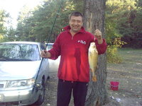 ������� ��������� �����������