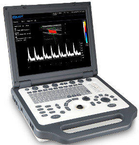Ультразвуковой портативный сканер EMP G30