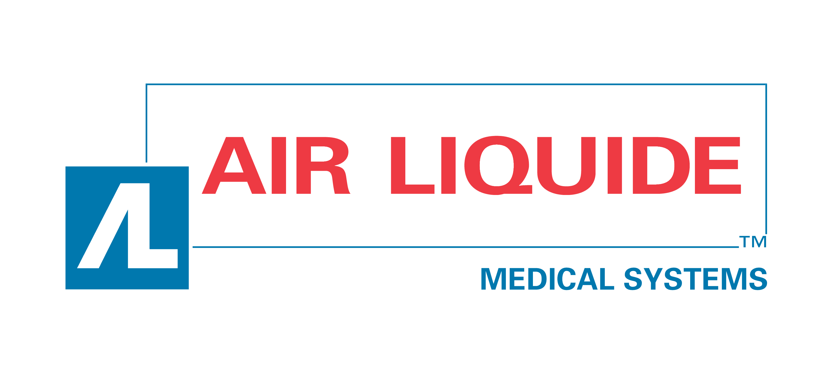Air-Liquide Medical Systems France (TAEMA Air Liquide Sante)