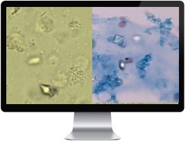 ��������� ���������� ������������������ ����������� �����-�2 ����������� ������ ������������������� ������������ ���������� ������� �������������