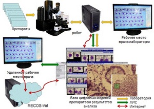 Система лабораторной телемедицины MECOSVIRT для микроскопических анализов биоматериалов