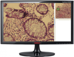 ��������� ���������� ������������������ ����������� �����-�2 ����������� ������ ������������������� ������������ ���������� ������� �������������