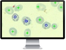 ��������� ���������� ������������������ ����������� �����-�2 ����������� ������ ������������������� ������������ ���������� ������� �������������