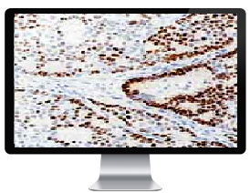 ��������� ������������������ ����������� �����-�2: �������������� ���� ��� � ������