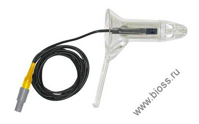 ������ - ������ ��������, ������� ����������