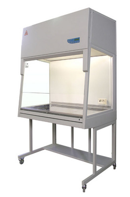 ���������� �����, ��� �����, �������� �����,�������������.