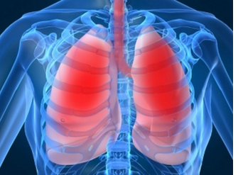 �������������� ������� � �����