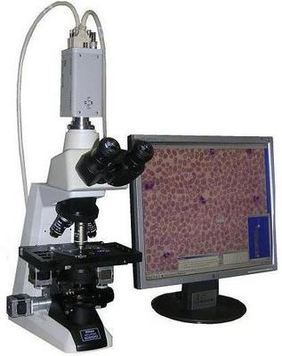 ��������� ����������� �����: ����� ���������� ��������