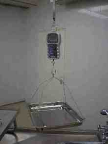 ���� ��-1 ���������� ��������������������� 8-812.2960637