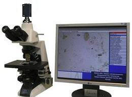 ��������� ����������� �����: ����� ���������� ��������