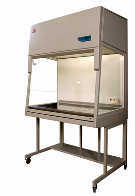 ���������� �����, ��� �����, �������� �����