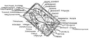 �����  ��������