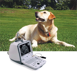 ������������ ������������ - ������� ����������� - �� �������������� ����� �� ���-��������, �������� � �������� ��������� ��� ��������! ������ ����, �������� �� ����� �������! ������� �������� �� ����� �����.