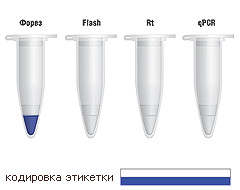         (HIV-1)