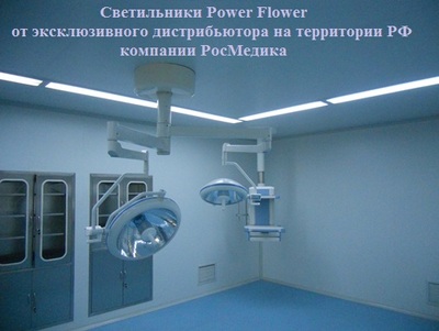  Power Flower (, ,  ).