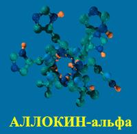 ����� �������