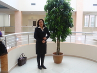 ������� ������ ������������