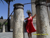 �������� ����� ��������������