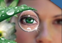 �������� ������� ������������