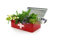 �������� ��������� ��������